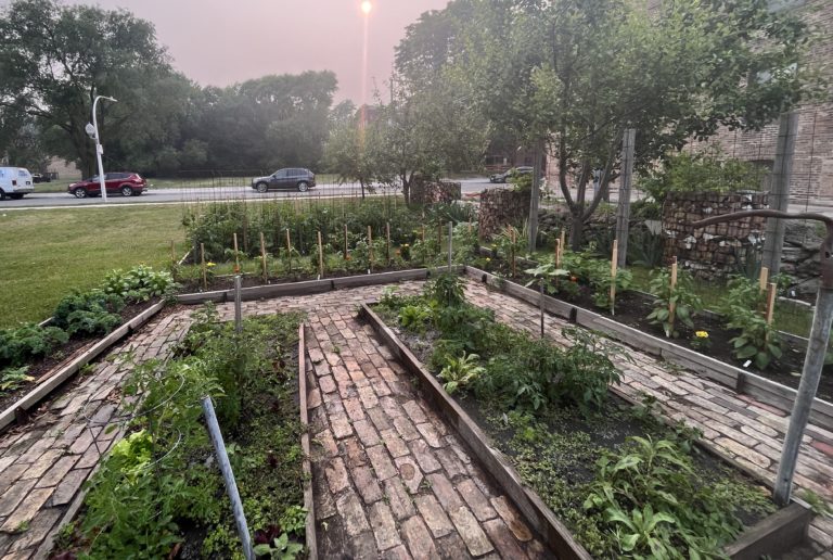 Residents plant vegetables, berries, and flowers every summer